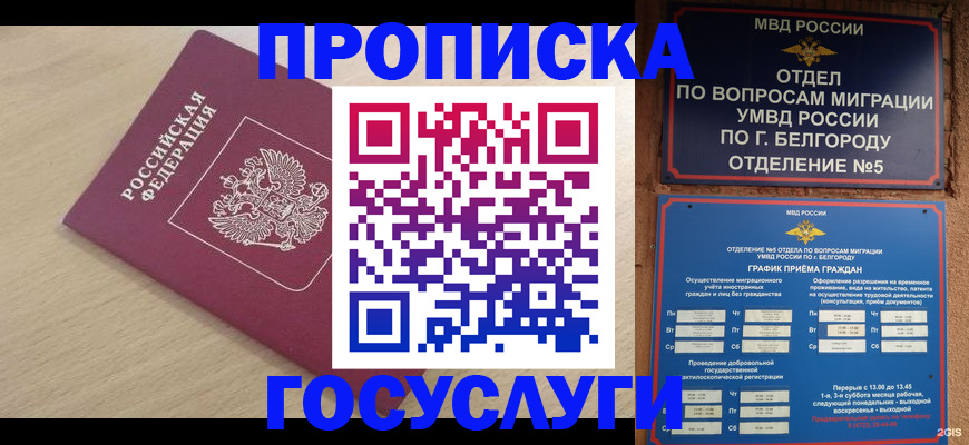 прописка законно в Боготоле